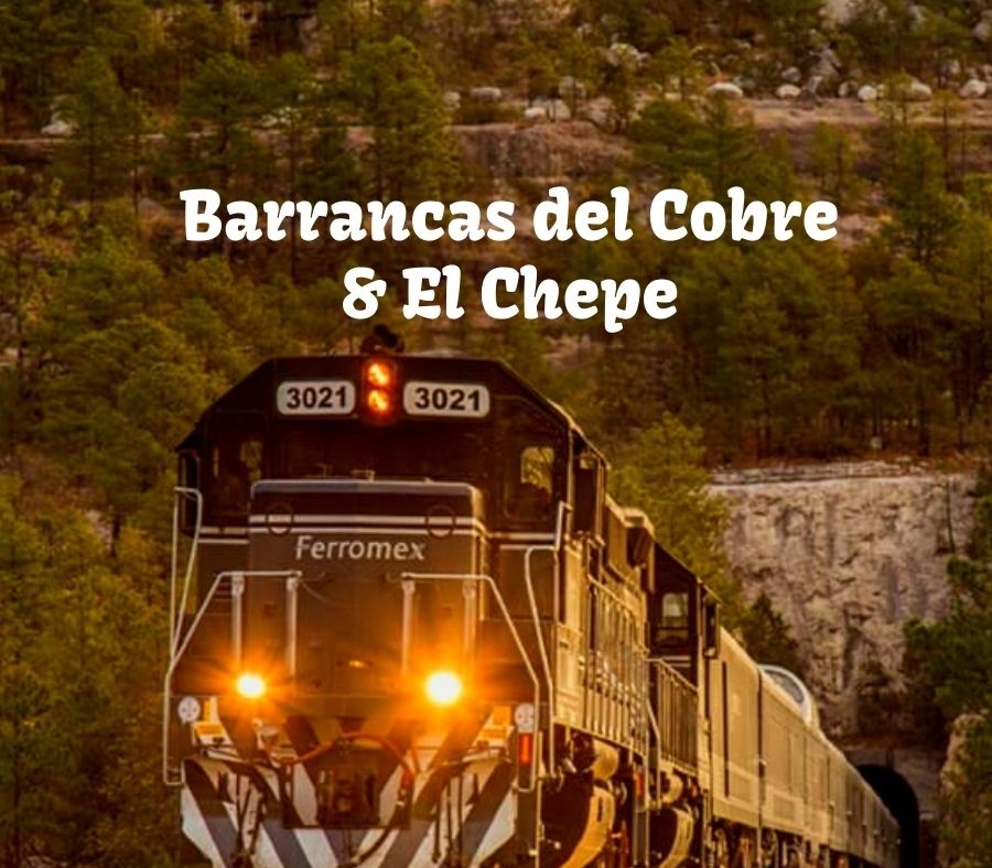 Tren Chepe Express en Barrancas del Cobre